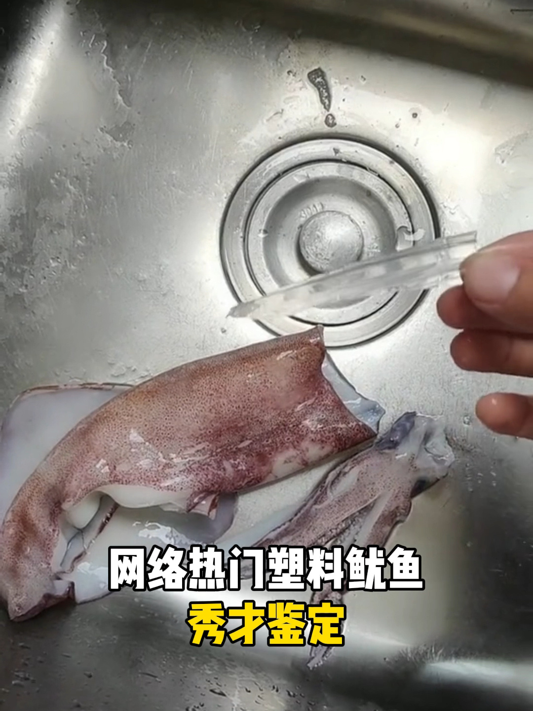《关于鱿鱼有骨头》这件事
