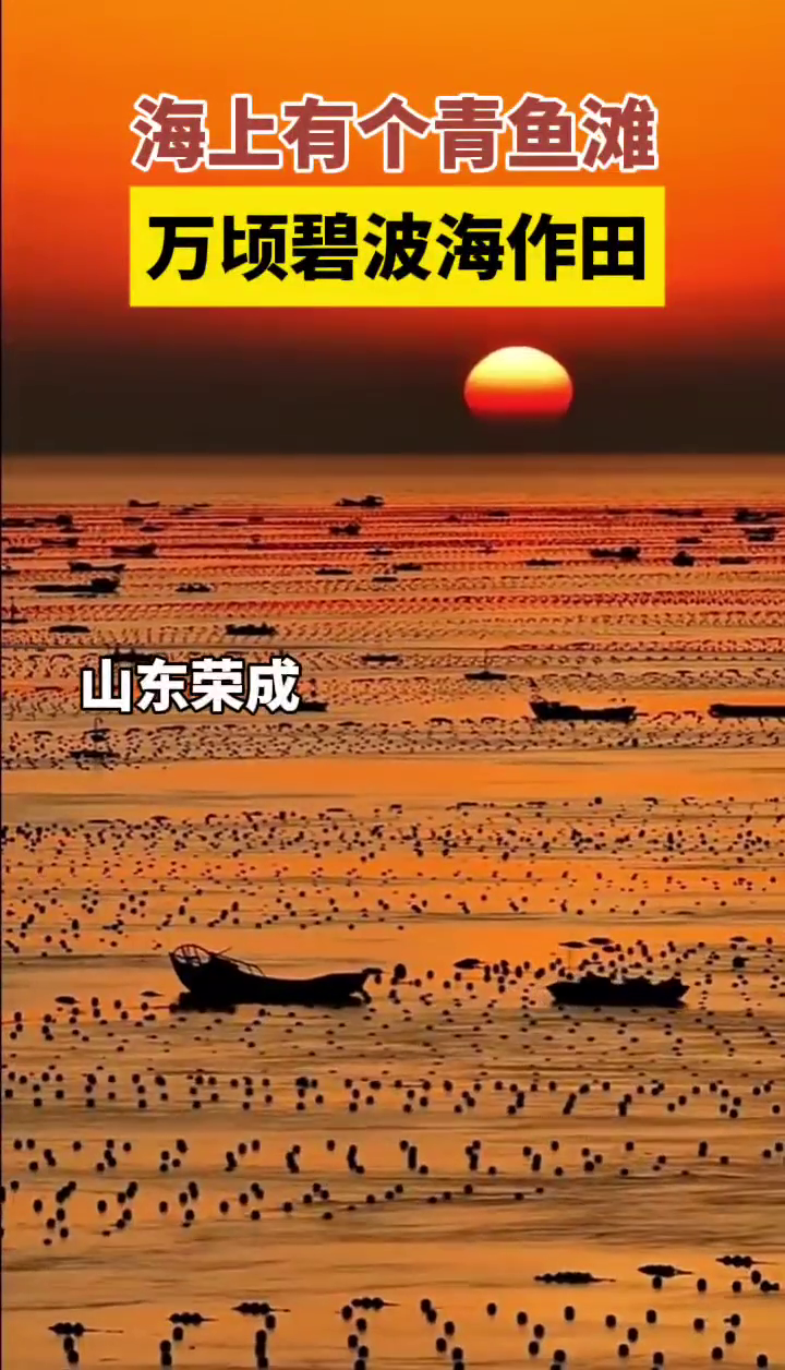 山东荣成海上有个青鱼滩,万顷碧波海作田
