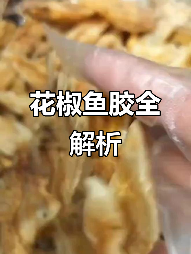 深海花胶大揭秘:各类鱼胶的独特功效与价格