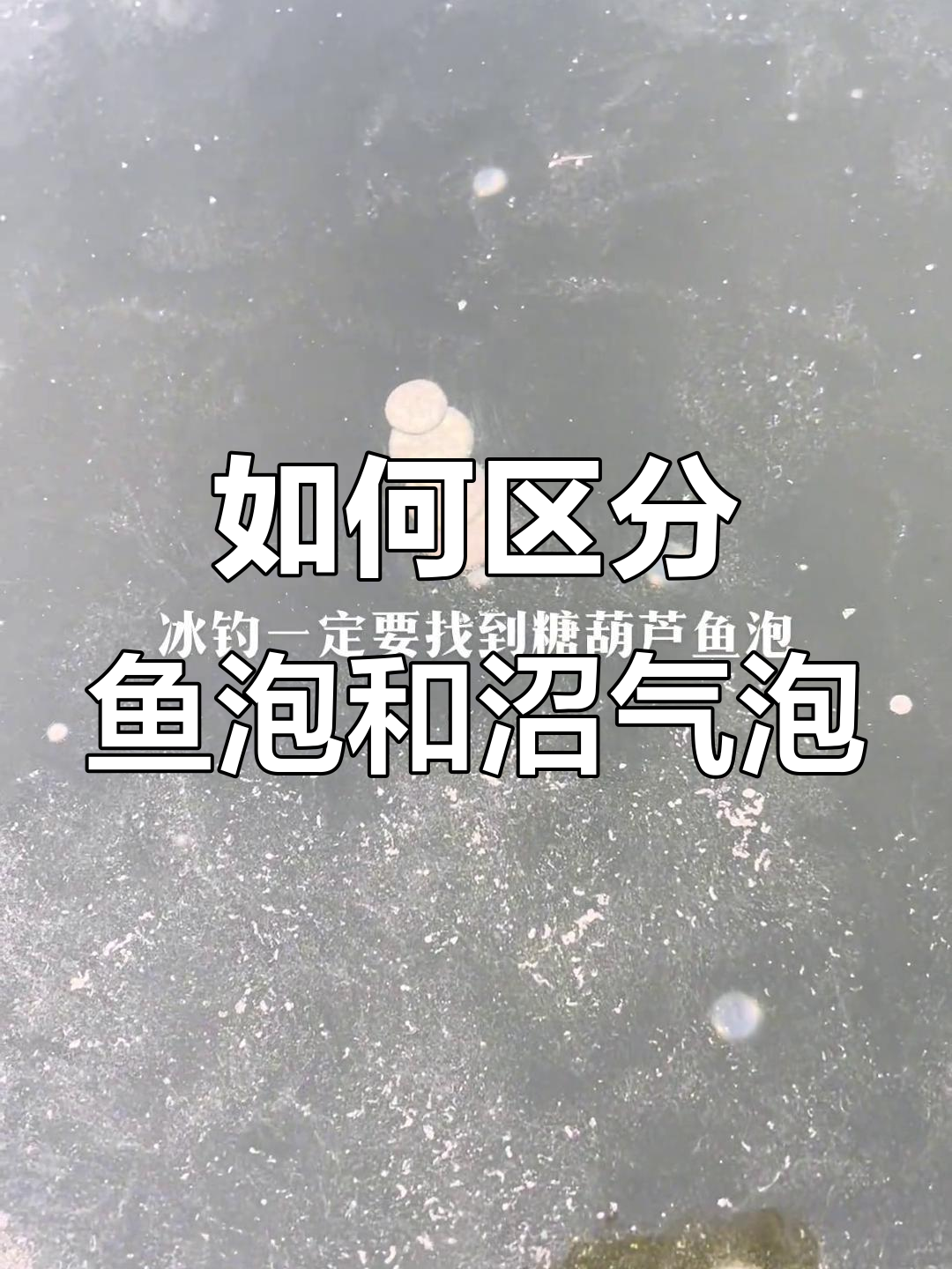 冰钓时如何分辨鱼泡与沼气泡?一串糖葫芦可能是关键