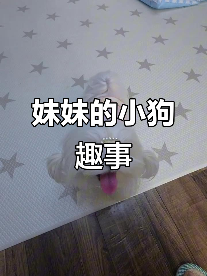 小狗的可爱日常:尿尿、拉粑粑,超萌反应