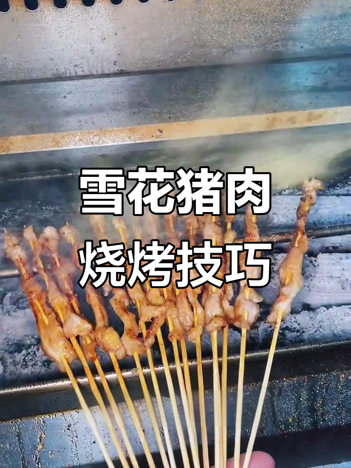 雪花猪肉烤制秘籍，轻松做出美味烧烤