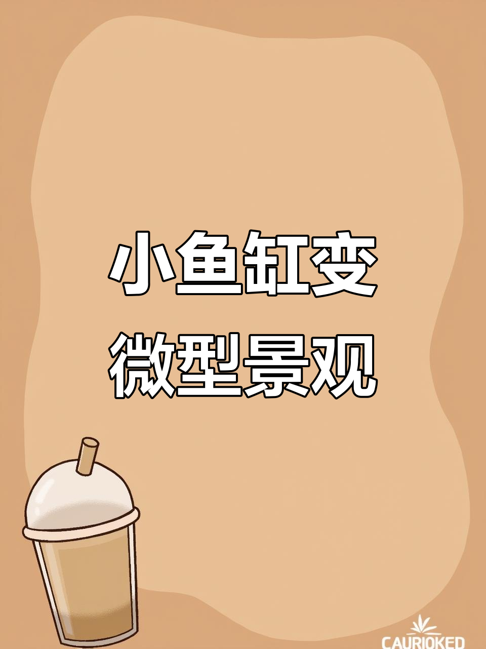 利用闲置小鱼缸打造室内迷你景观,步骤超简单