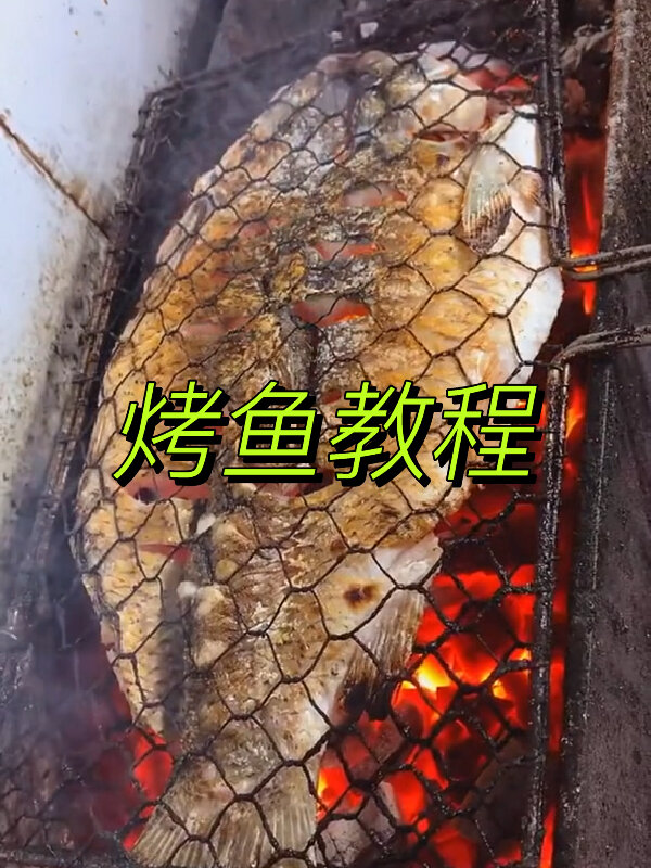 炭烤鱼教程