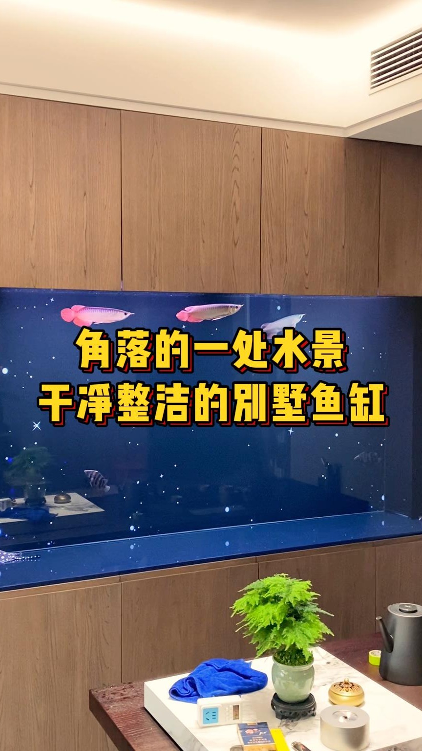 角落的一处水景,干净整洁的别墅鱼缸