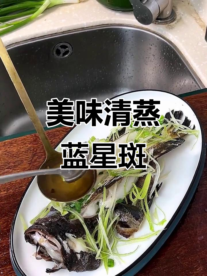 清蒸蓝星斑,鲜美无比的清蒸鱼做法