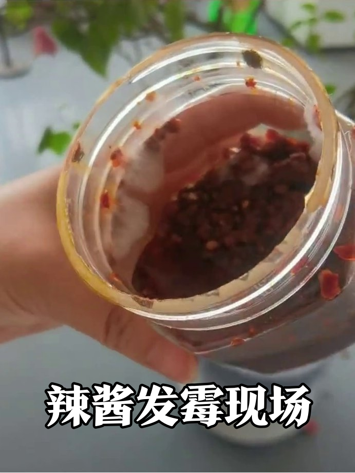 辣椒酱长白毛开“霉斑派对”,这保存方式太离谱!