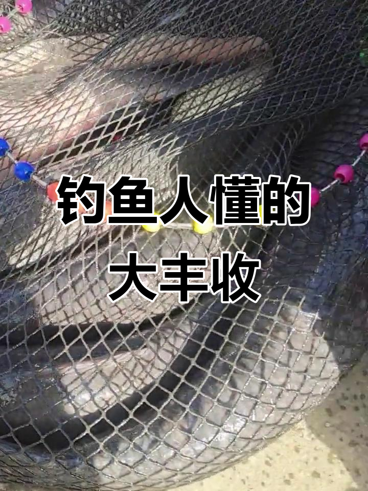 青鱼妹妹钓获30斤大肥鱼,脸小身胖超可爱