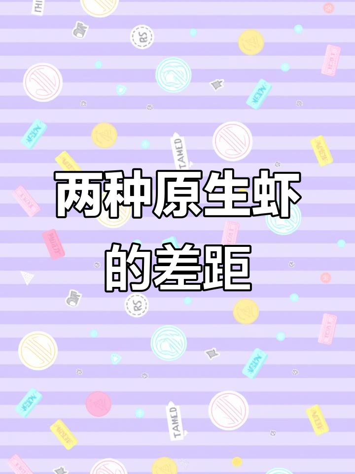 黑壳虾与大眼贼:性格差异竟如此之大