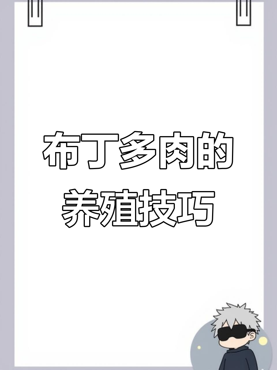 布丁多肉养护全攻略:轻松上手,快速上色