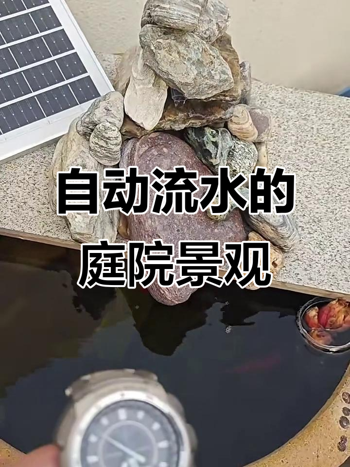 太阳能控制的假山流水景观,鱼缸里的悠闲时光