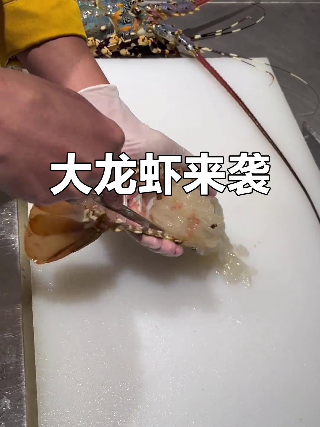 超大龙虾震撼登场,看这霸气十足的家伙!