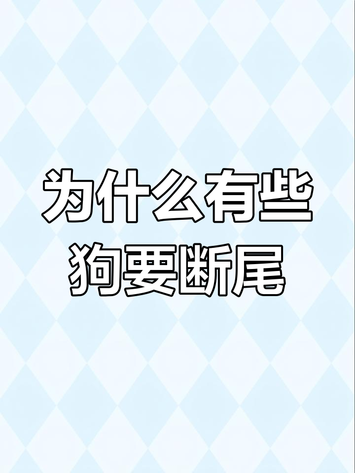 狗狗尾巴被剪,真的是为了安全吗?了解背后的真相