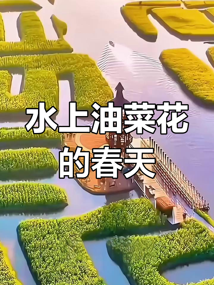 泰州兴化千垛油菜花海,春日奇观
