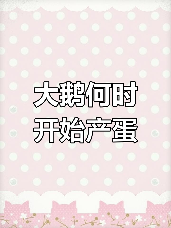 不同品种大鹅产蛋时间揭秘,你知道吗?