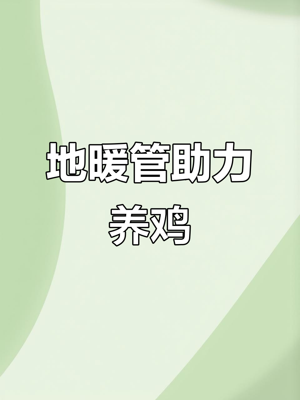 鸡舍地暖管加热设备,让小鸡更舒适
