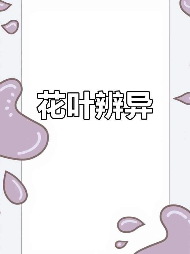 象牙红与鸡冠刺桐,形态各异,轻松辨别