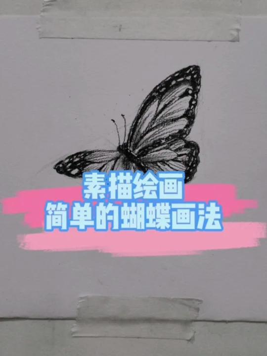 简单又好看的素描蝴蝶画法,你学会了吗?