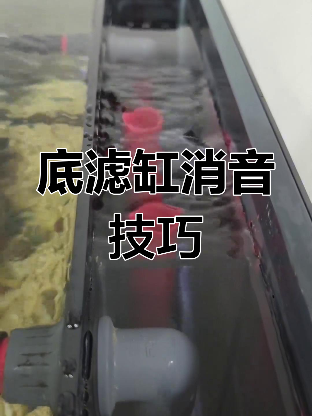 如何通过微调阀消除底滤缸溢流区噪音?精准控制水位有妙招