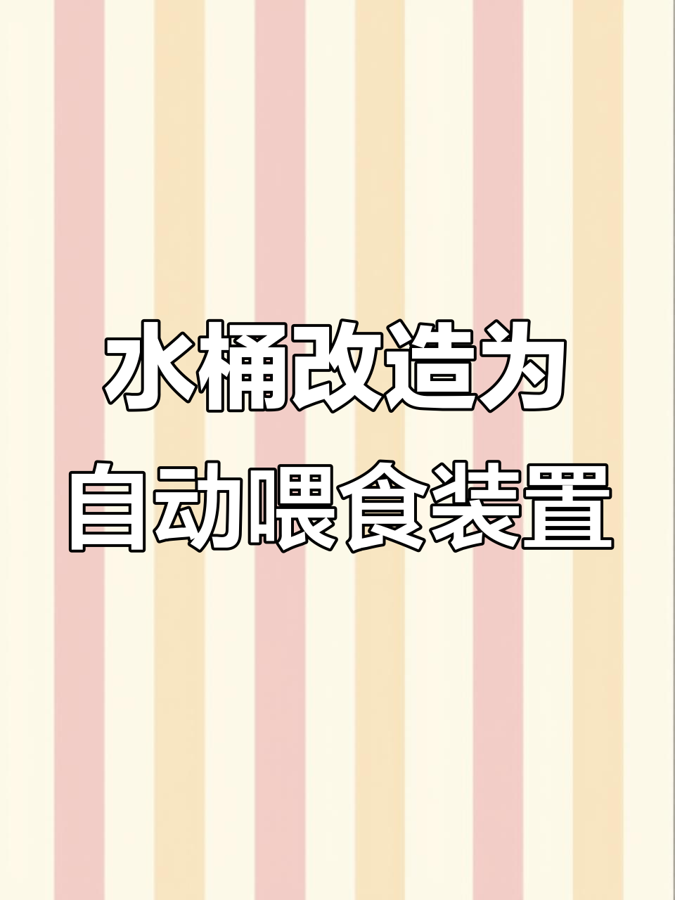 废旧水桶变自动喂食器,轻松解决养鸡问题
