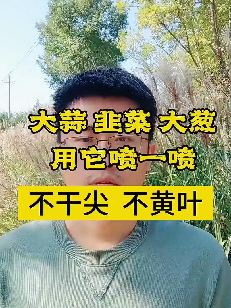 大蒜如何苗期管理,才能高产整季没有病害 大蒜种植 新农人计划2023 种大蒜 大葱干尖黄叶