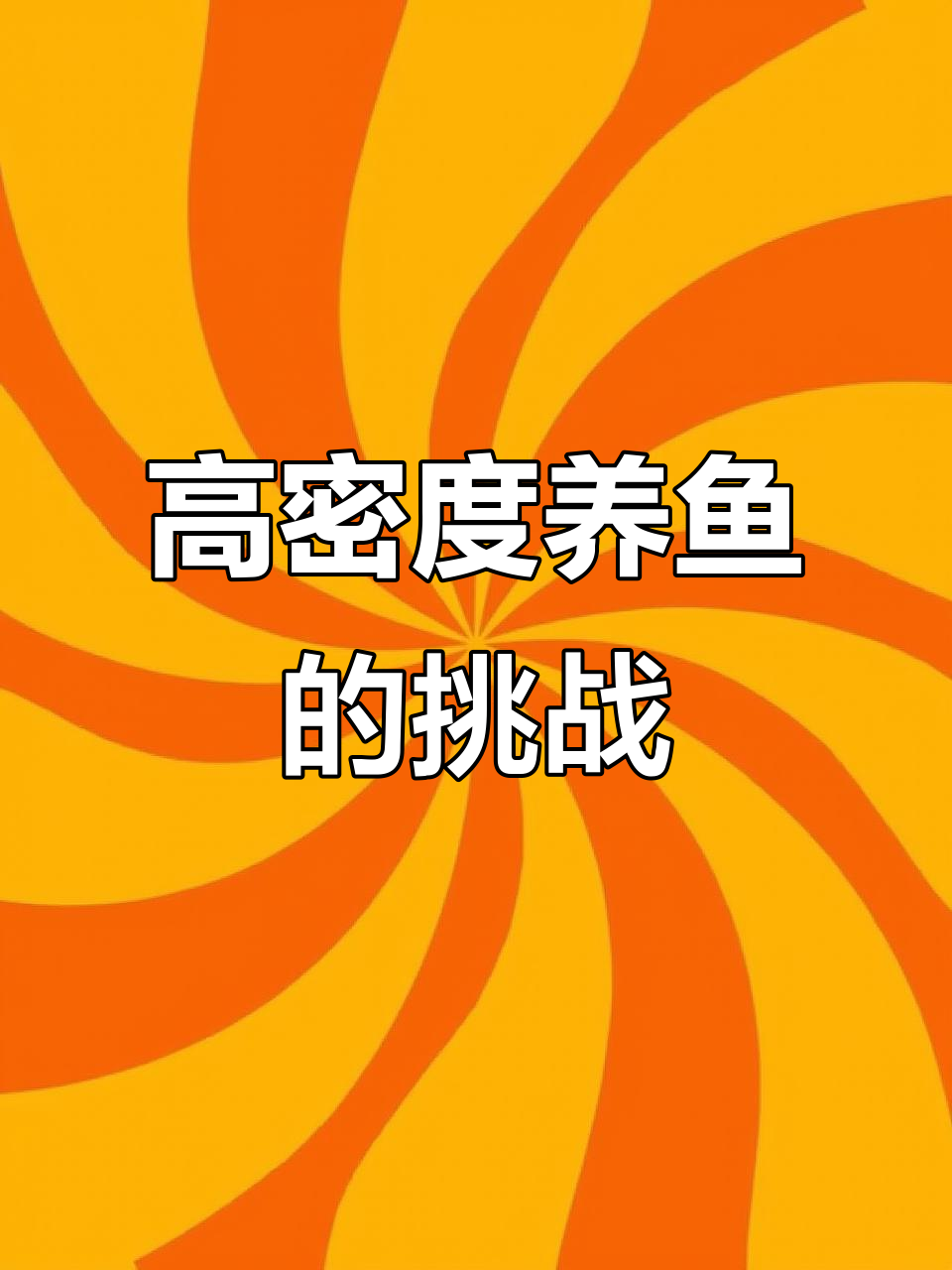 鱼缸里的鲫鱼与锦鲤,水质适应大比拼
