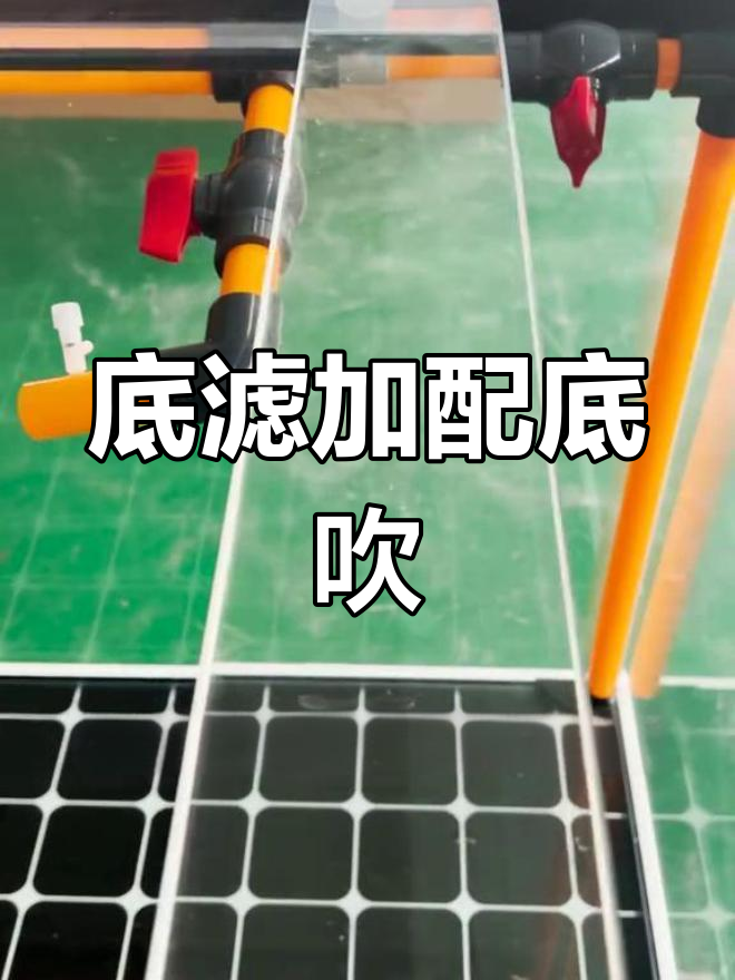 底吹配置助力鱼缸清洁,增氧除油膜更高效