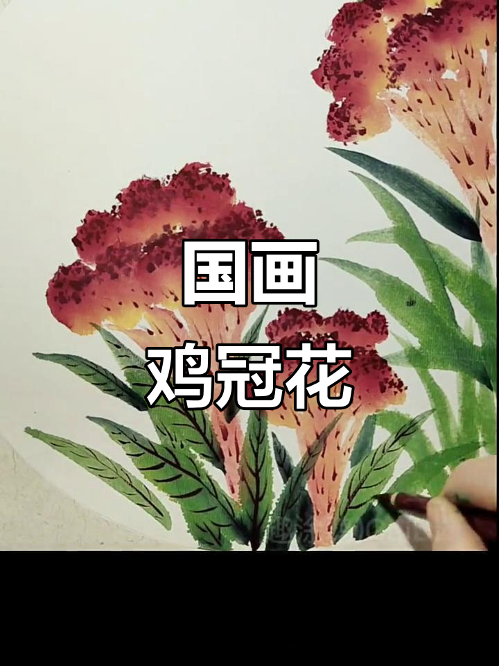 画鸡冠花，简单又好看！国画技巧大揭秘