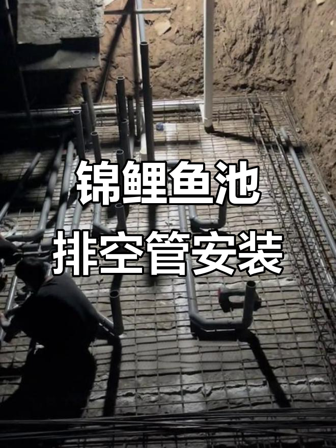 锦鲤鱼池过滤系统布管大揭秘,六条管道到底有啥用?