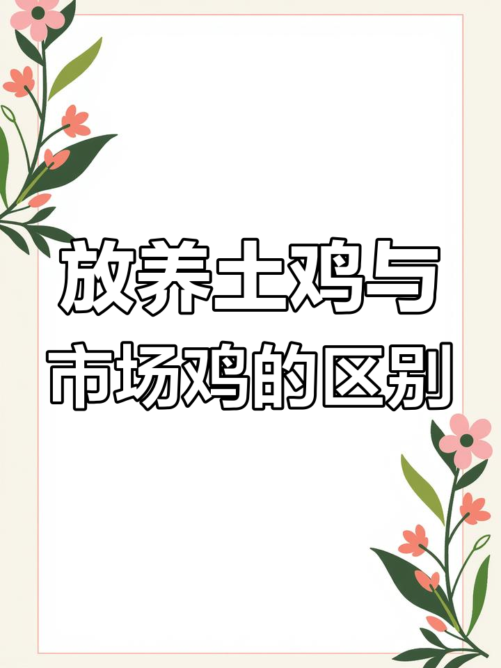 农场放养土鸡与市场鸡肉的差异对比