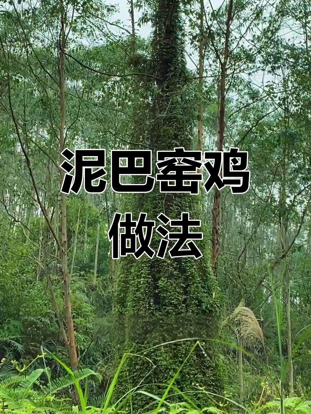 用泥巴做窑鸡,味道不输锡纸