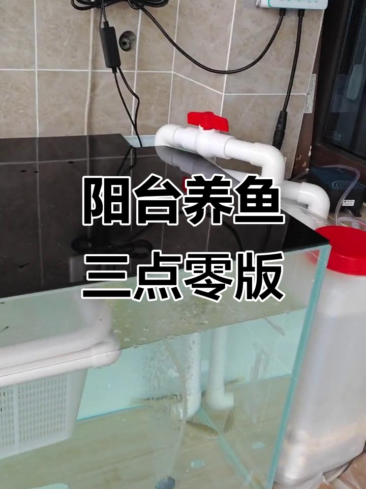 阳台养鱼3.0:打造自然水族环境,过滤系统全解析