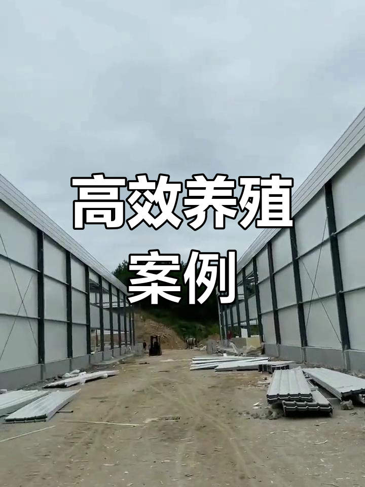 各地蛋鸡养殖案例,探索高效层叠笼养技术