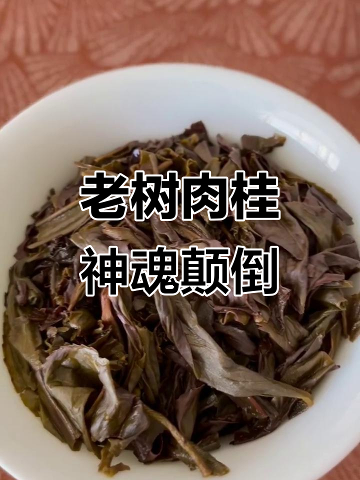 三仰峰老树肉桂：清火与厚叶的完美结合