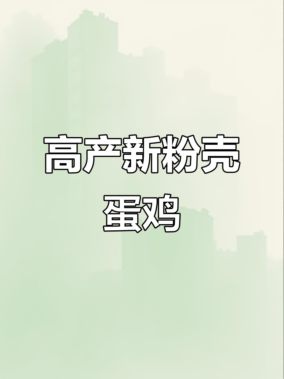 新粉壳蛋鸡:年产三百枚,成活率大幅提升的秘诀