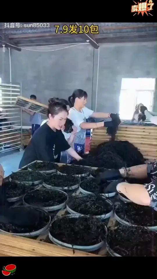 「当季新菜」霞浦坛紫菜干货紫菜蛋花虾皮汤 开水冲泡干货霞浦坛紫菜干货紫菜蛋花虾皮汤开水冲泡