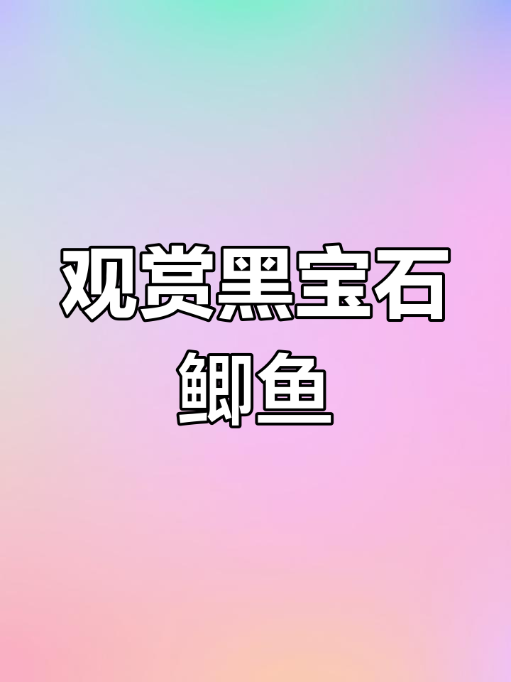 黑宝石鲫鱼:美丽婚色与活泼习性的完美结合