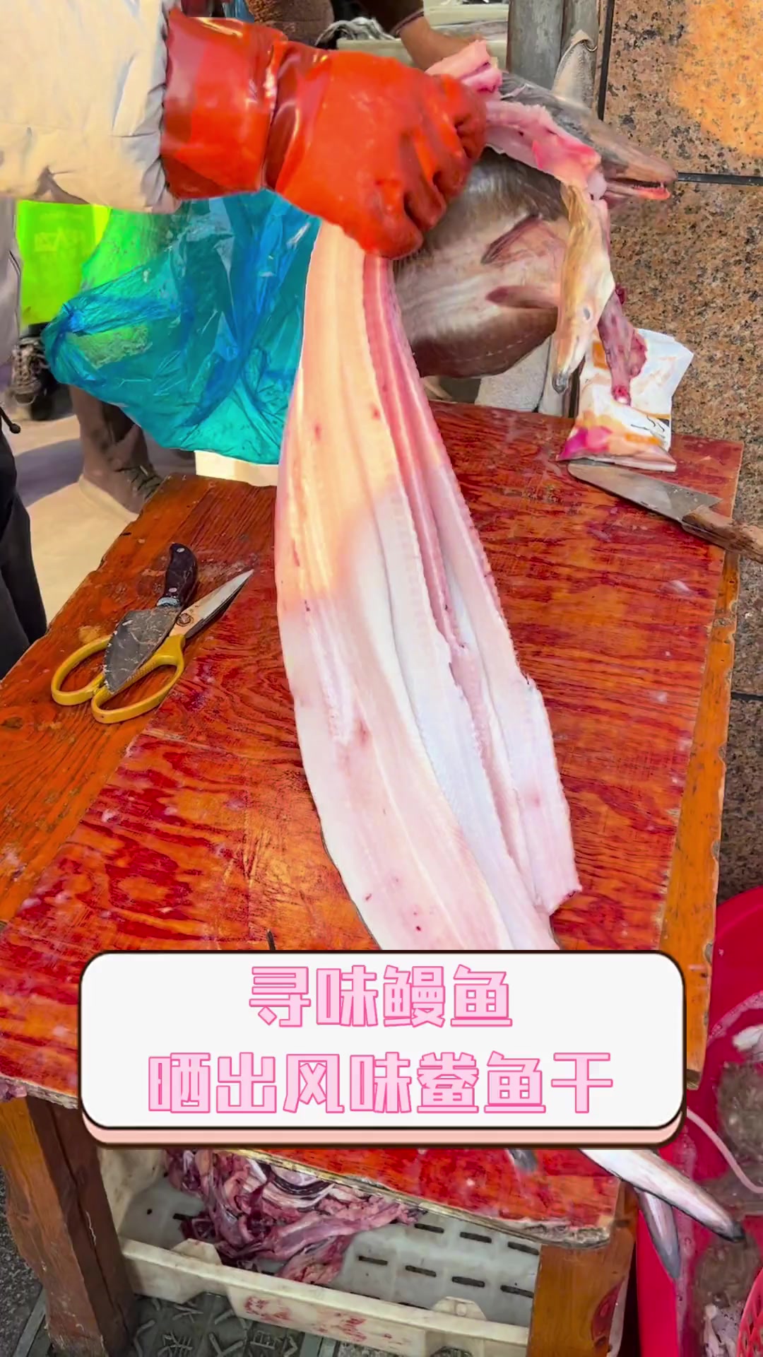 寻味鳗鱼,晒出风味鲞鱼干