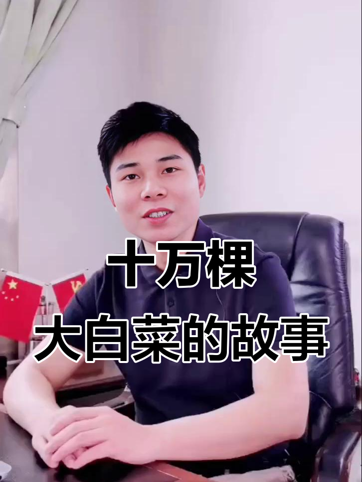 大白菜的成长历程:从种子到餐桌,经历四季的风雪考验