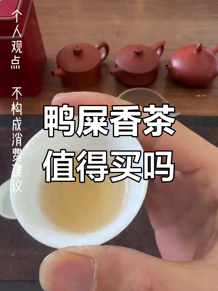 这款鸭屎香茶叶值不值?试喝评测告诉你