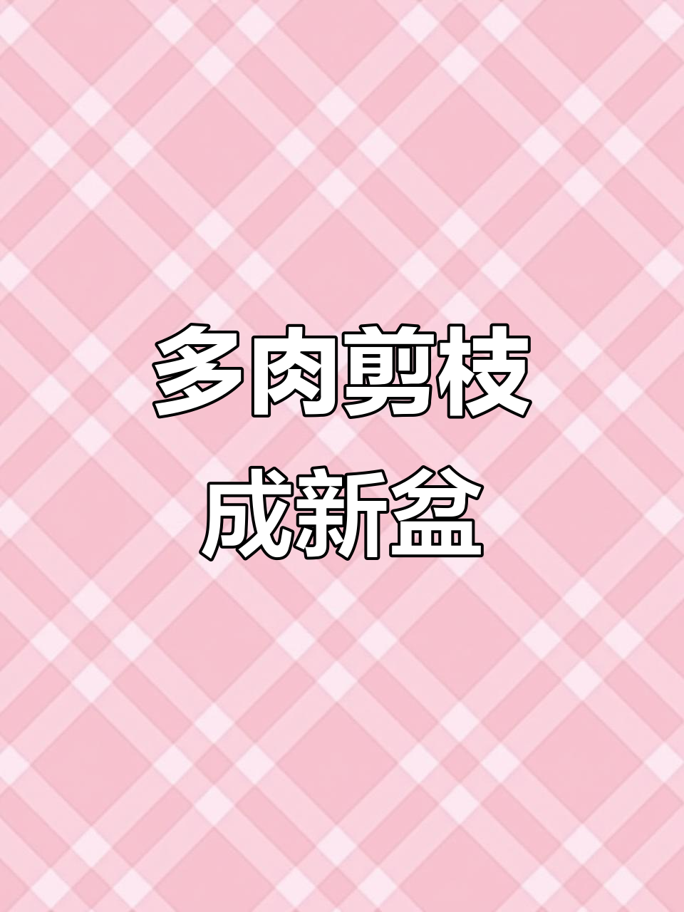 一盆多肉变六盆,轻松学会枝条扦插技巧