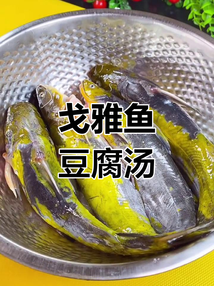 轻松做出营养鱼汤,戈雅鱼豆腐做法