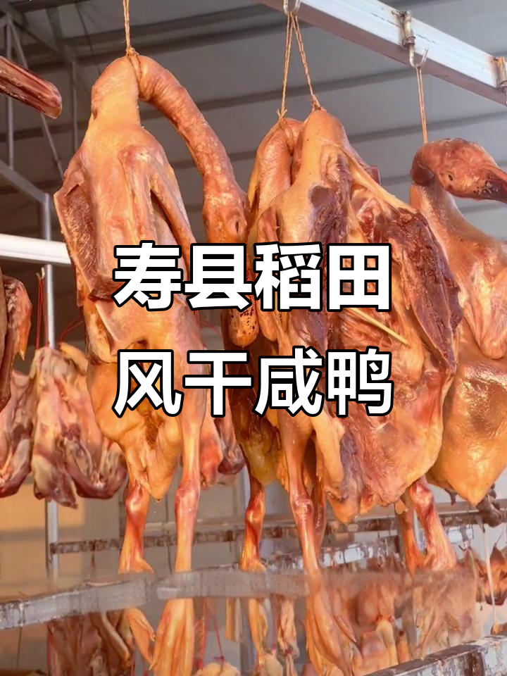 安徽寿县稻田晒咸鸭，太阳下的美味变身