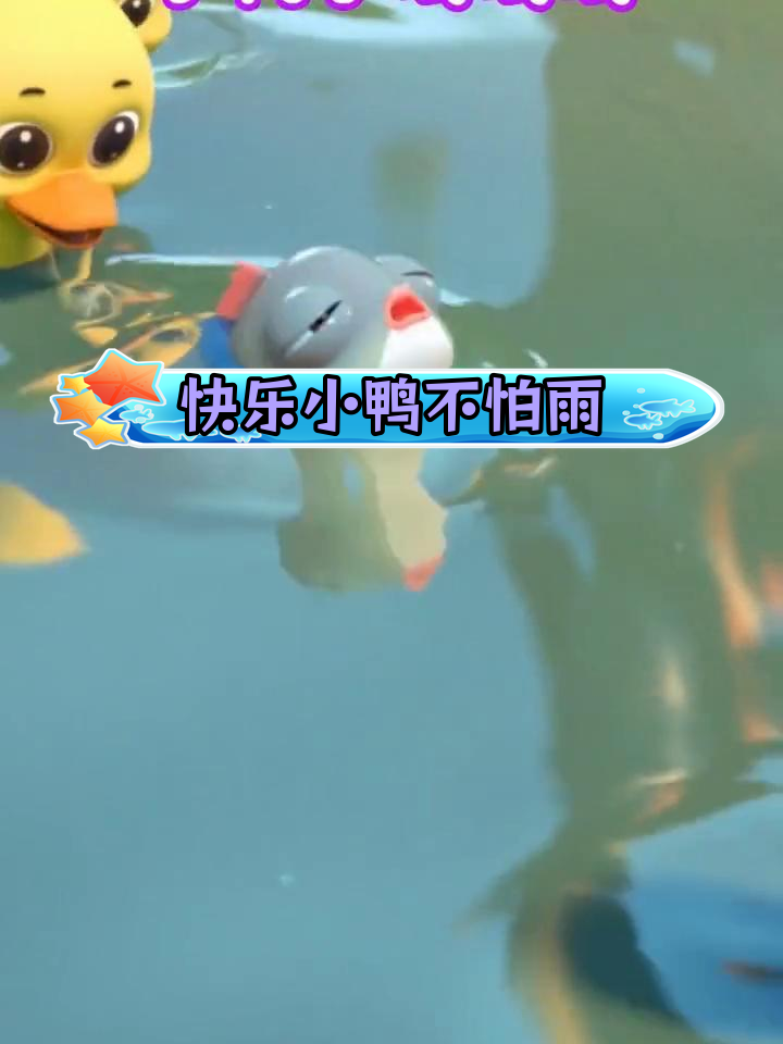 小鸭子勇敢面对风雨,笑声连连