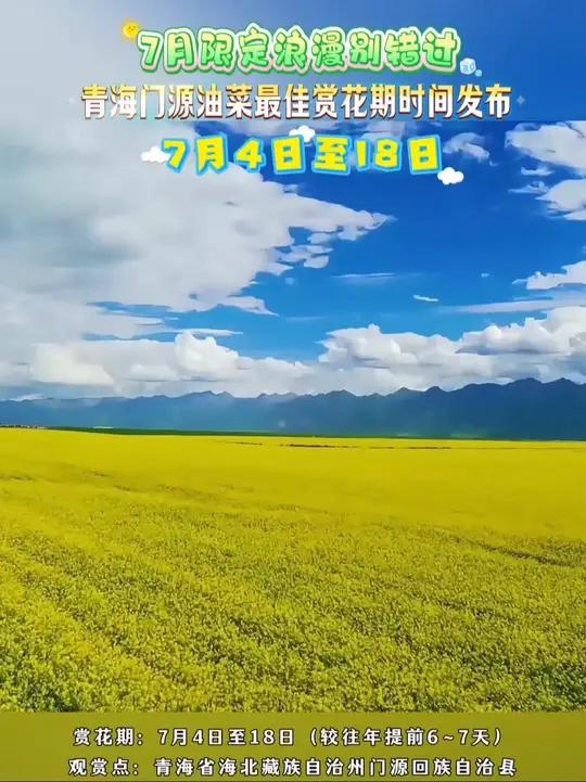 青海门源油菜花最佳花期时间发布,这份夏日治愈系美景攻略请收好!(素材:门源融媒)