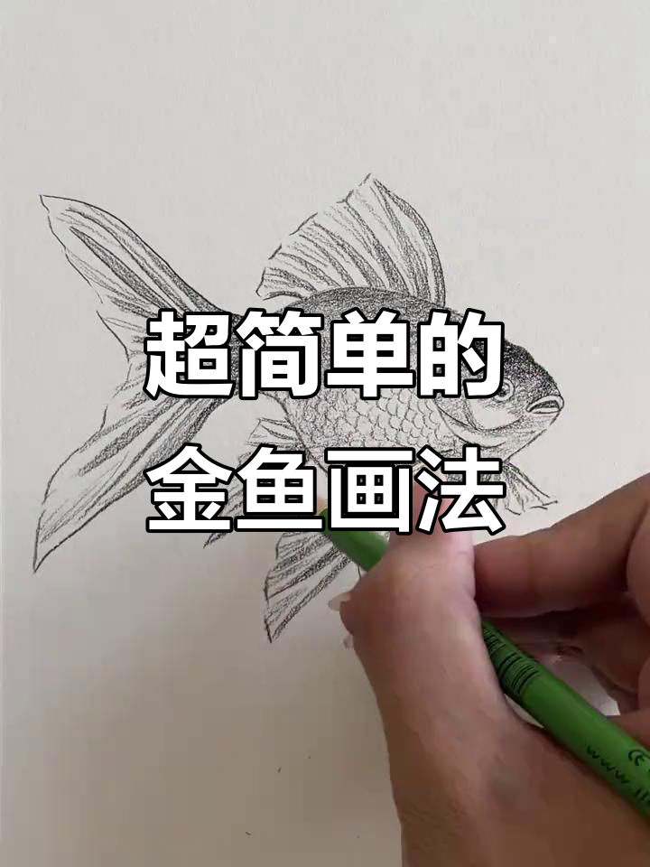 一分钟学会画可爱金鱼，简单又好玩！