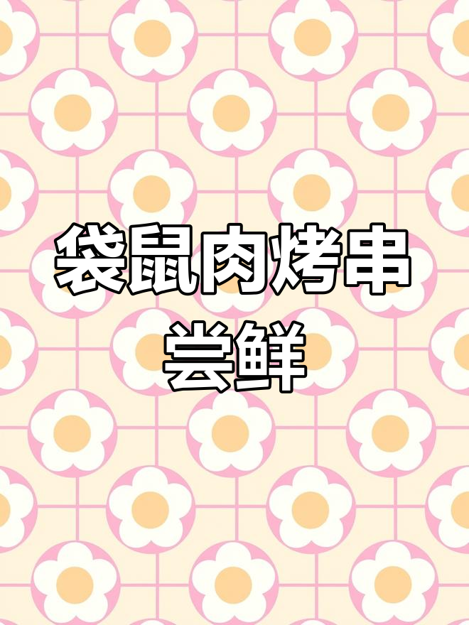 澳洲袋鼠肉烤串,辣孜然风味十足!