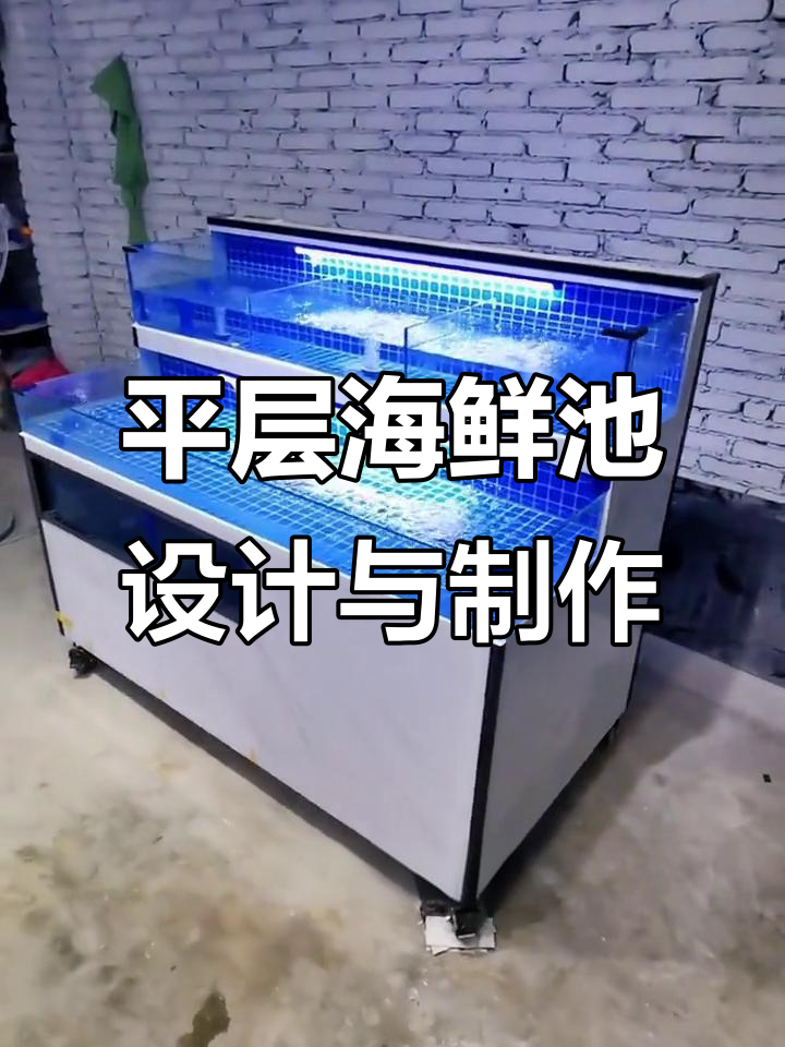 定制海鲜池设计,贝类鱼缸安装全解析