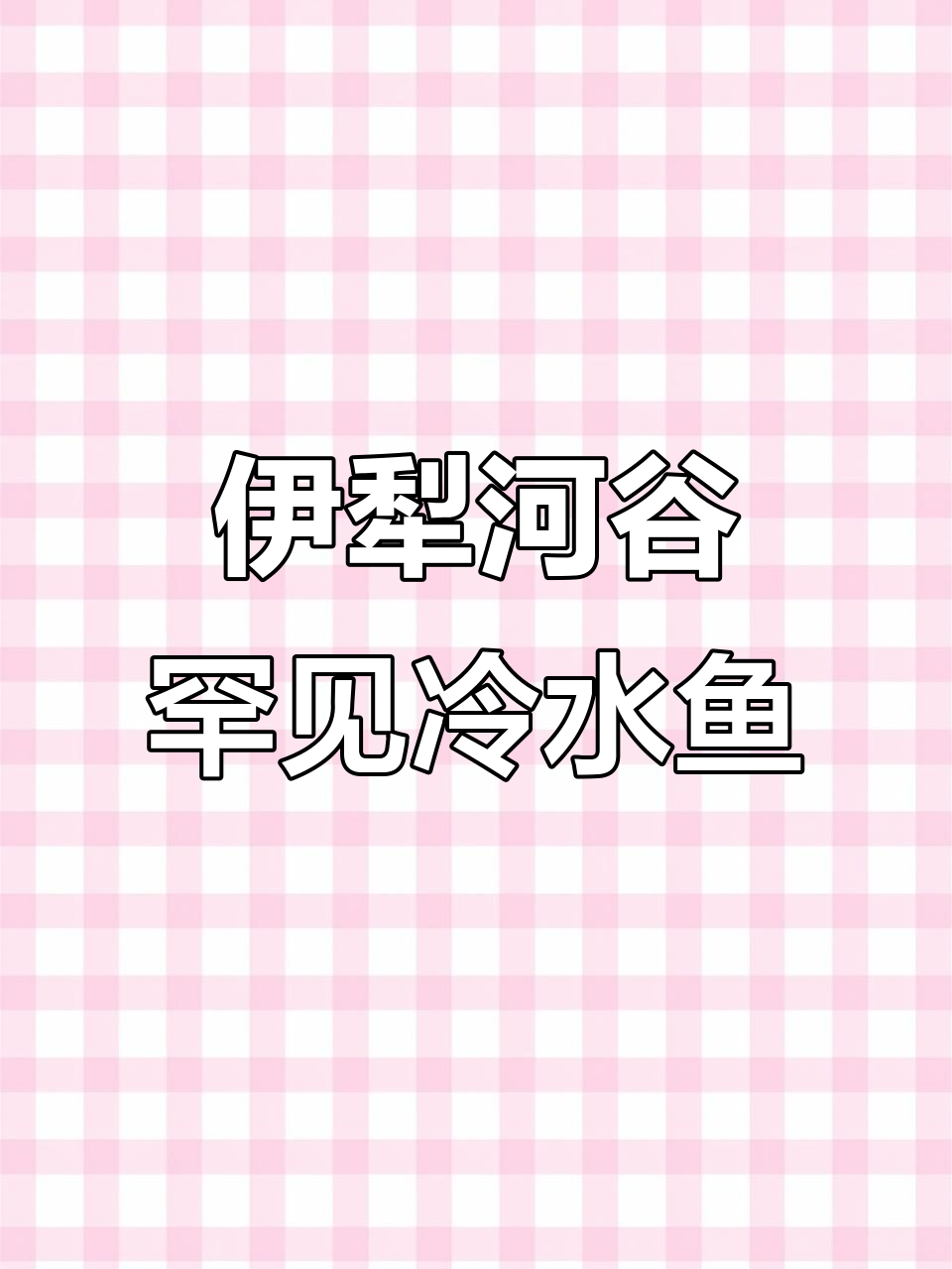 新疆伊犁河谷的稀有冷水鱼,亚东龟现身温泉县河道