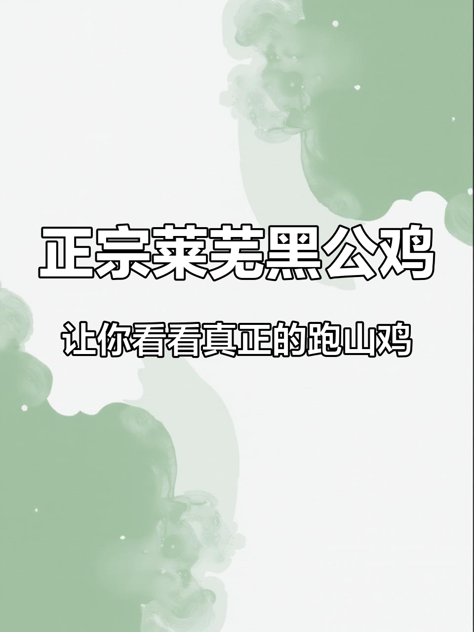 正宗莱芜黑公鸡，让你看看真正的跑山鸡 #黑公鸡 #农村生活 #新农人计划 #散养鸡 #跑山